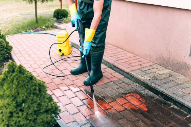 Best Animal Enclosure Cleaning  in Dry Ridge, OH